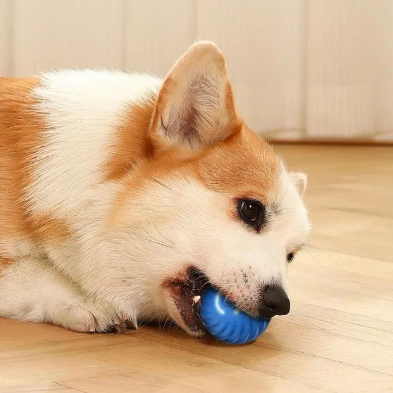 Interactive Smart Dog Play Ball™