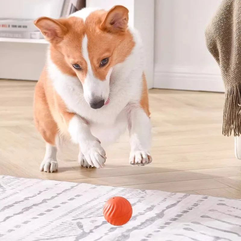 Interactive Smart Dog Play Ball™