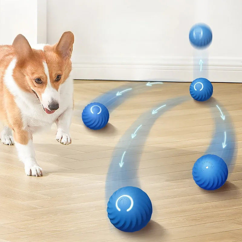 Interactive Smart Dog Play Ball™