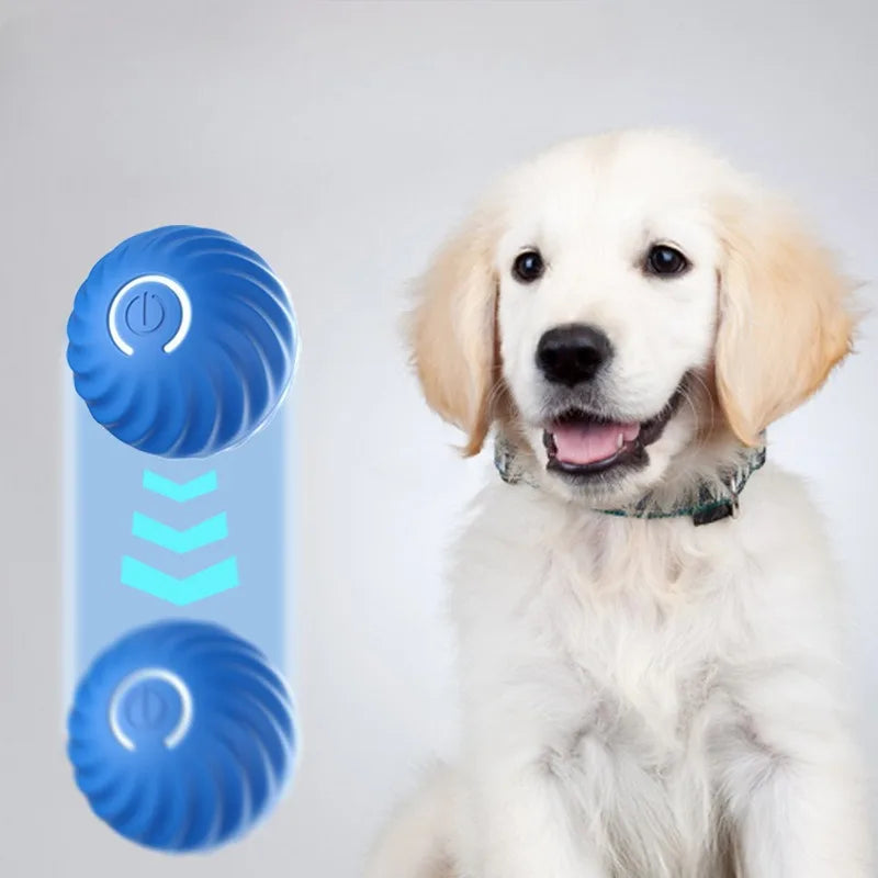 Interactive Smart Dog Play Ball™