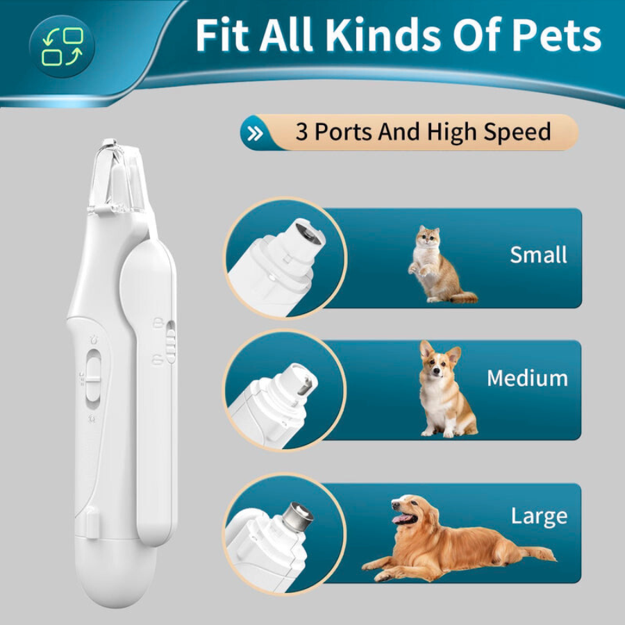 Paw Guard